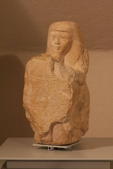 Stelophor des Chaui