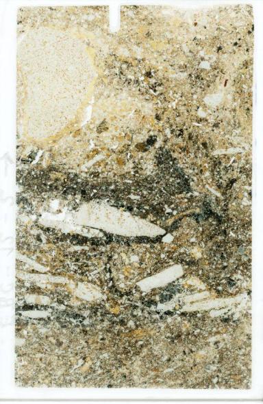 Scan eines dünnen Abschnittes von Sedimenten