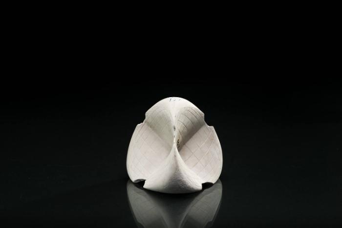 Die Römische Fläche von Steiner