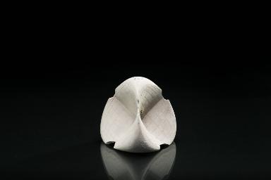 Die Römische Fläche von Steiner