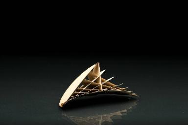 Rückungsfläche eines Kreises, von dem die Endpunkte eines Durchmessers auf einem senkrechten Achsenkreuz gleiten