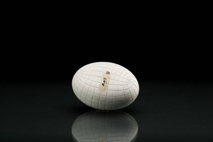 Ellipsoid mit den beiden Schaaren von Krümmungslinien
