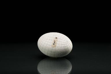 Ellipsoid mit den beiden Schaaren von Krümmungslinien