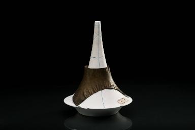 Die Rotationsfläche der Tractrix mit geodätischen und Haupttangenten-Curven