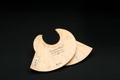 Tangentenfläche der Schraubenlinie