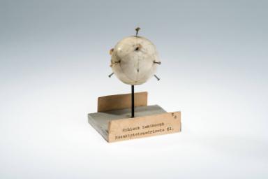 Kubisch hemimorph Hexakistetraedrische Klasse