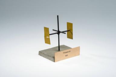 Pinakoid (010)