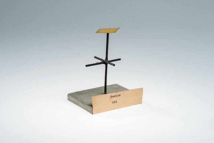 Pedion (001)