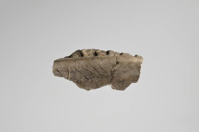 Gefäßfragment