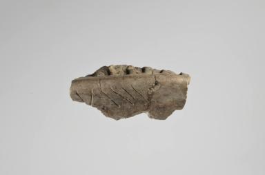 Gefäßfragment