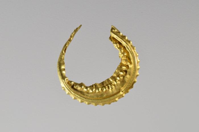 Ohrring
