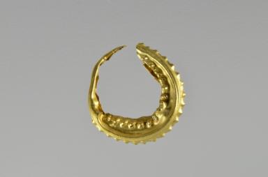 Ohrring