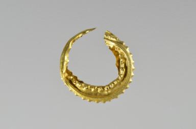 Ohrring