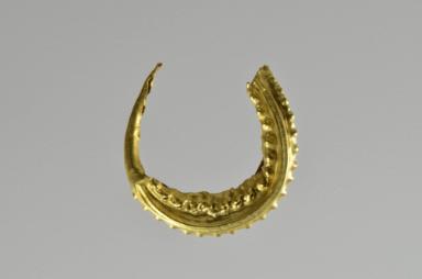 Ohrring