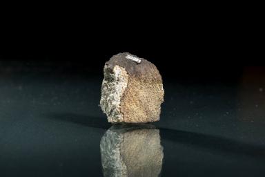 Nanjemoy