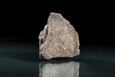 Hainholz