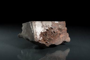Seeläsgen