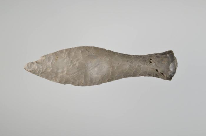 Fischschwanzdolch