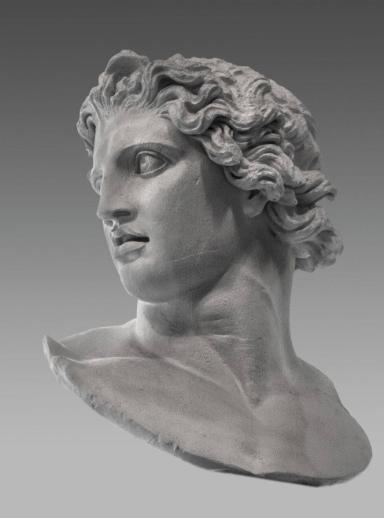 Kopf einer kolossalen Dioskurenstatue, sog. Rossebändiger vom Monte Cavallo ("opus Fidiae")