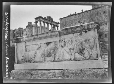Rom, Suovetaurilienrelief auf dem Forum, im Hintergrund Saturntempel und Tabularium