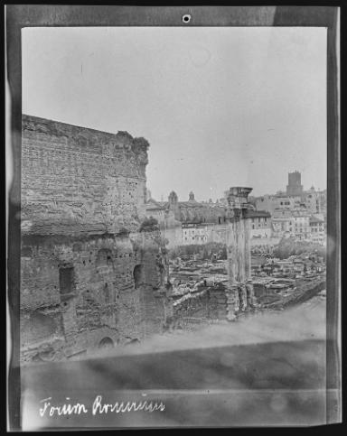 Rom, Forum Romanum mit Säulen des Dioskurentempels vom Palatin aus