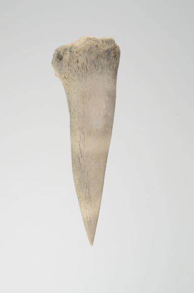 Spitze