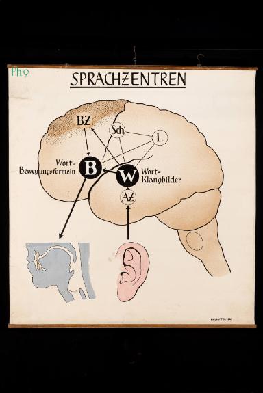 Sprachzentren