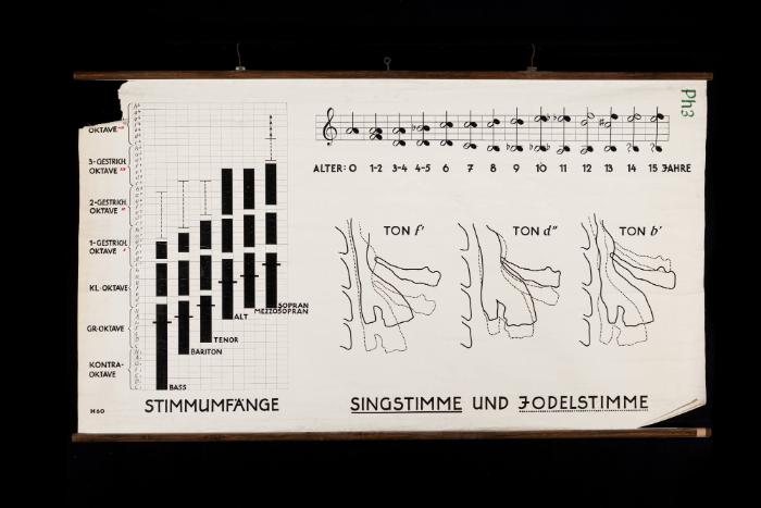 Singstimme und Jodelstimme
