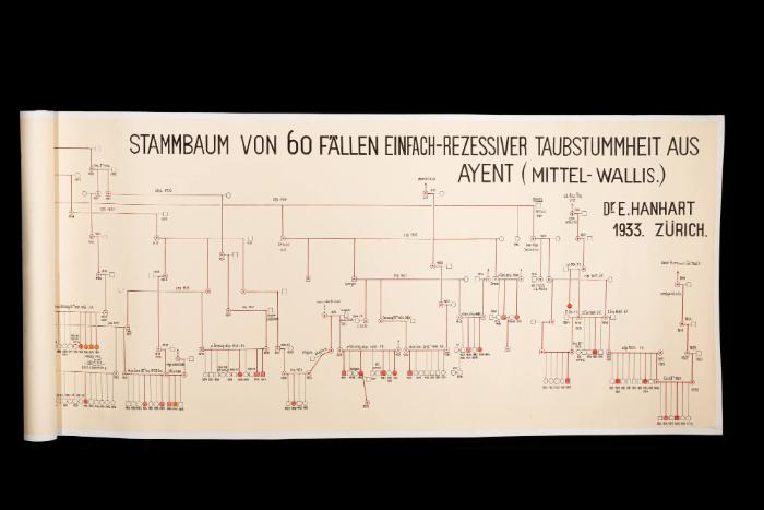Stammbaum von 60 Fällen einfach-rezessiver Taubstummheit aus Ayent (Mittel-Wallis)