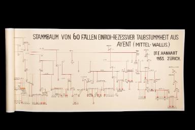 Stammbaum von 60 Fällen einfach-rezessiver Taubstummheit aus Ayent (Mittel-Wallis)