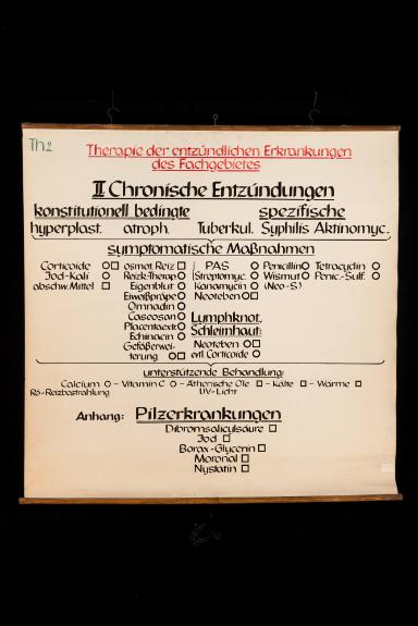 II. Chronische Entzündungen