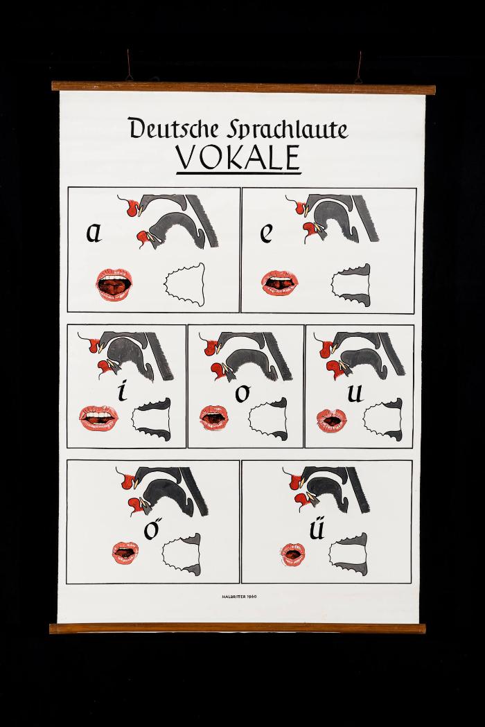 Deutsche Sprachlaute: Vokale