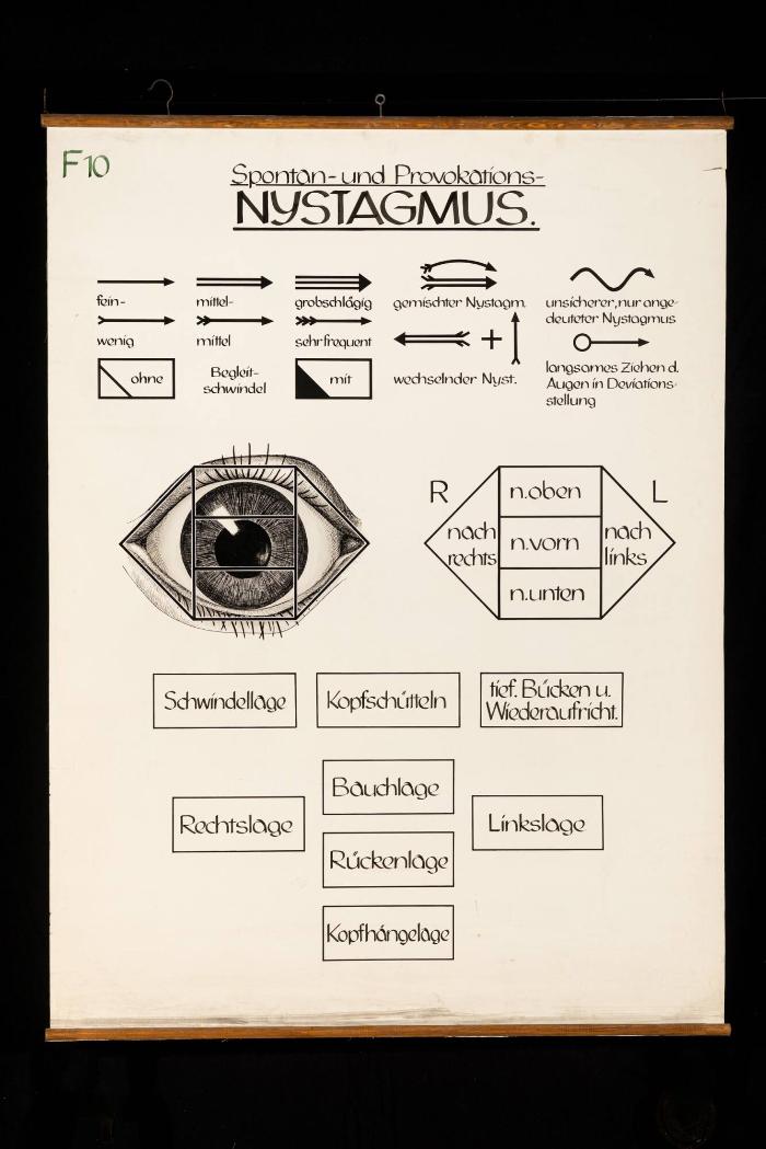 Spontan- und Provokations-Nystagmus