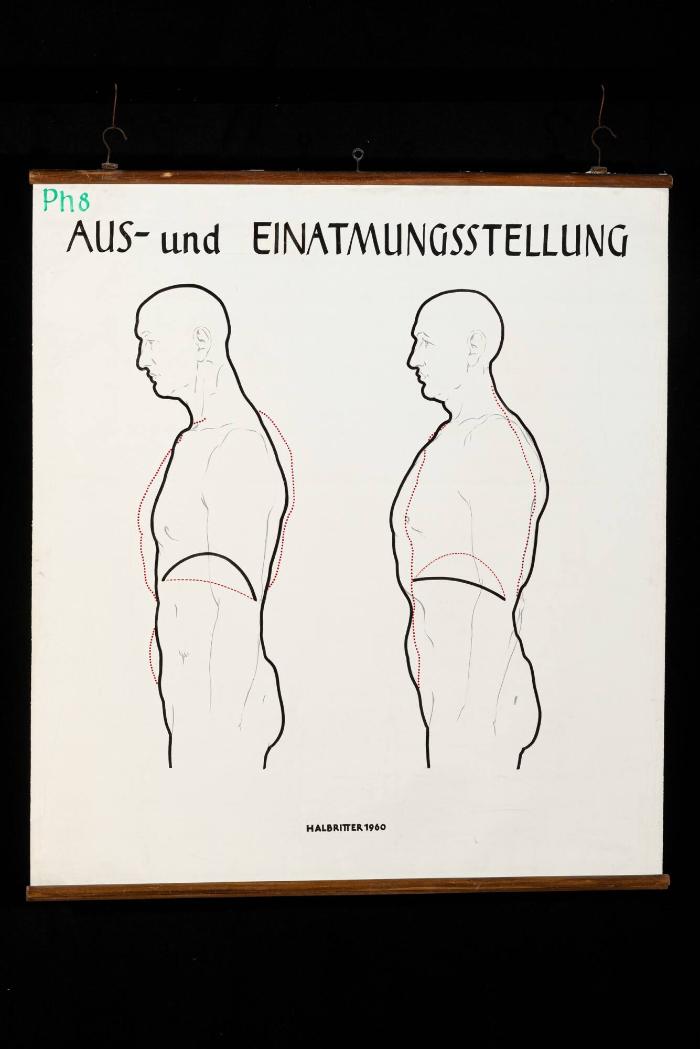 Aus- und Einatmungsstellung