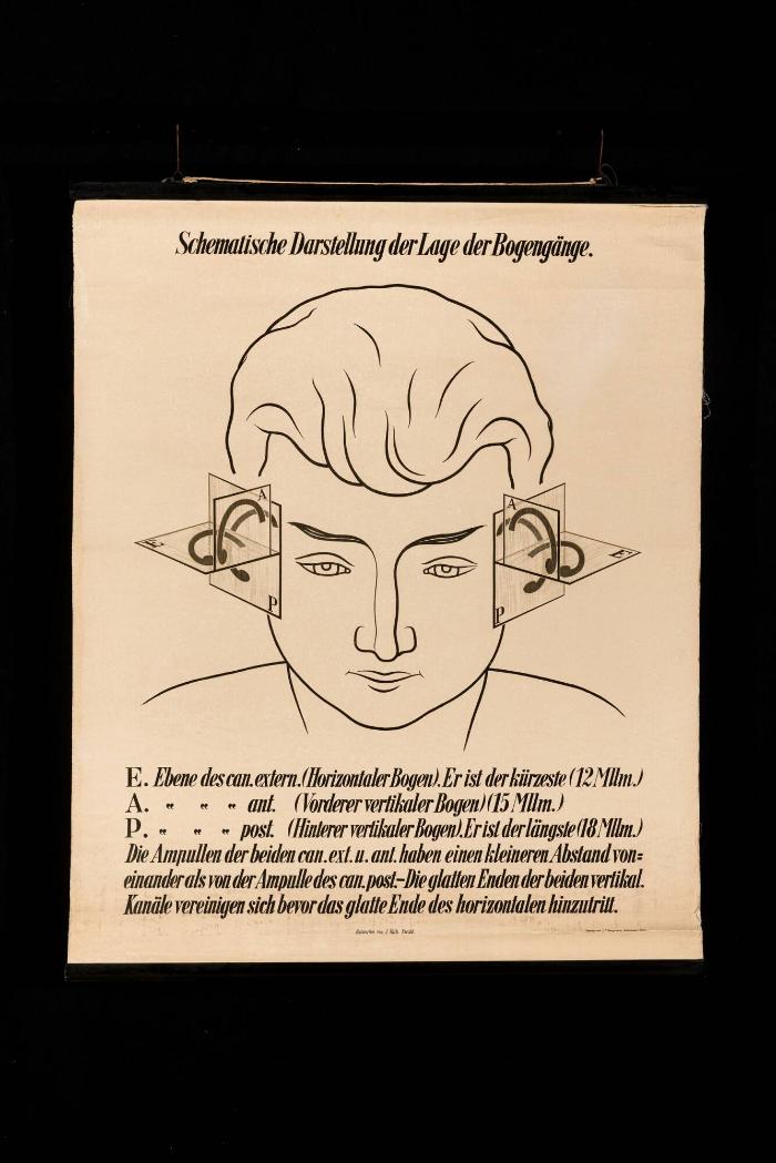 Schematische Darstellung der Lage der Bogengänge, Verlag Bergmann Wiesbaden