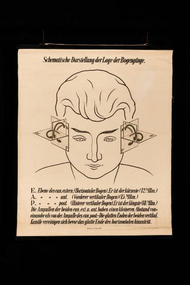 Schematische Darstellung der Lage der Bogengänge, Verlag Bergmann Wiesbaden