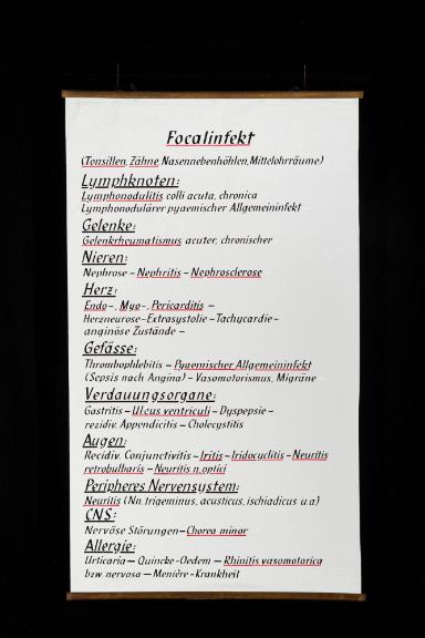Der Focalinfekt im Bereich der Hals-Nasen-Ohren-Heilkunde und anderen Organsysteme