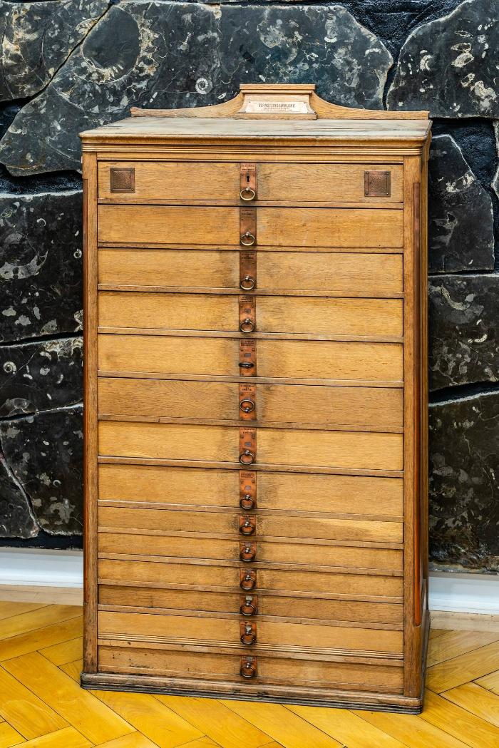 Tübinger Bernsteinschrank