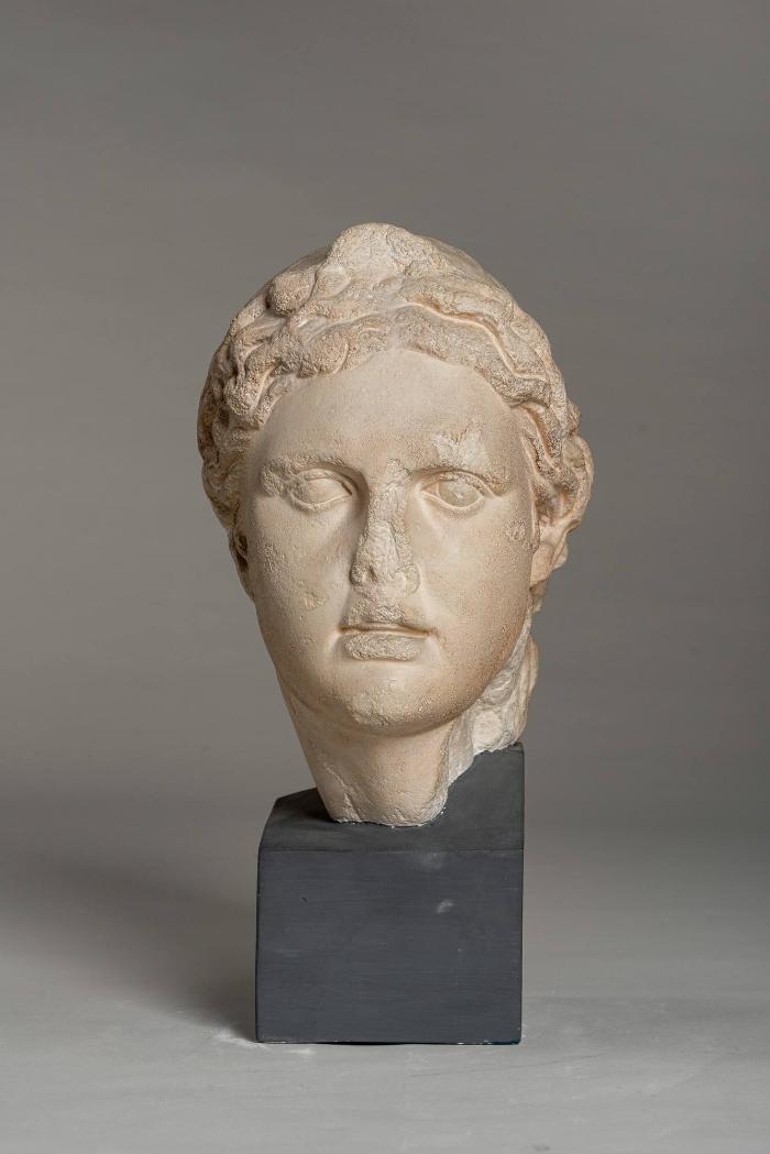 Kopf des Apollon im Typus des Apoll vom Belvedere, sog. Steinhäuserscher Kopf