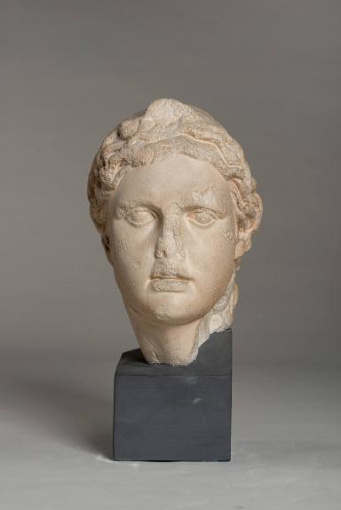Kopf des Apollon im Typus des Apoll vom Belvedere, sog. Steinhäuserscher Kopf