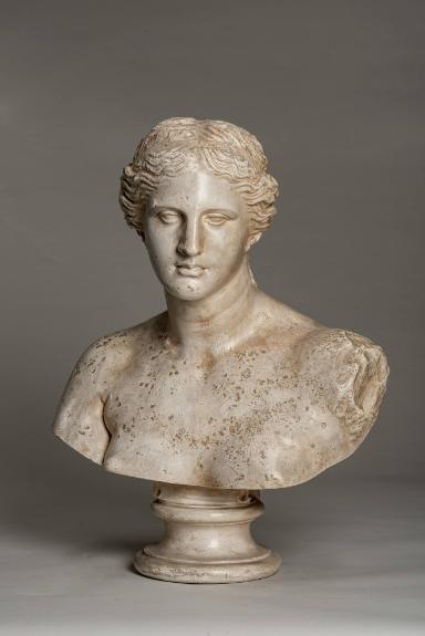 Büstenausschnitt der sog. Venus von Milo