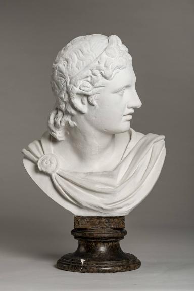 Kopf des Apollon im Typus des Apoll von Belvedere, sog. Steinhäuserscher Kopf (Büste ergänzt)