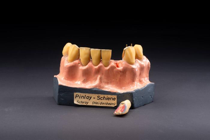 Pinley-Schiene