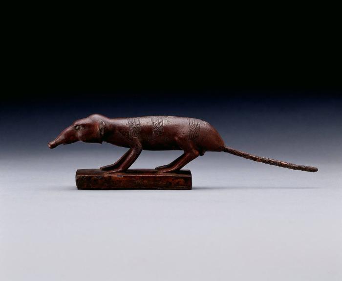 Spitzmaus