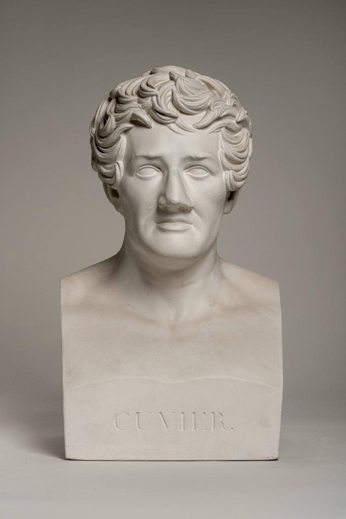 Porträtbüste des Naturforschers Georges Cuvier (1769-1832)