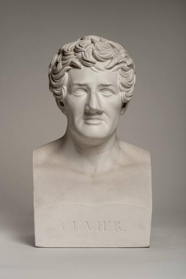 Porträtbüste des Naturforschers Georges Cuvier (1769-1832)
