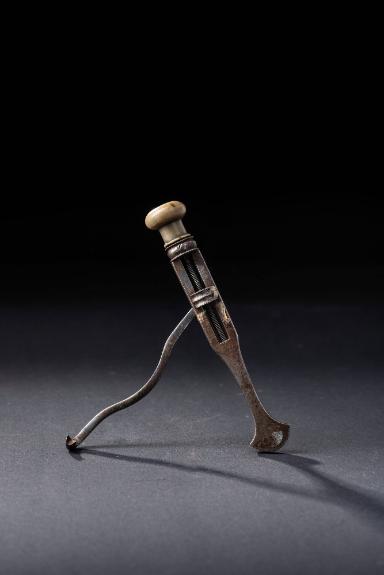 Pelikan nach Carabelli