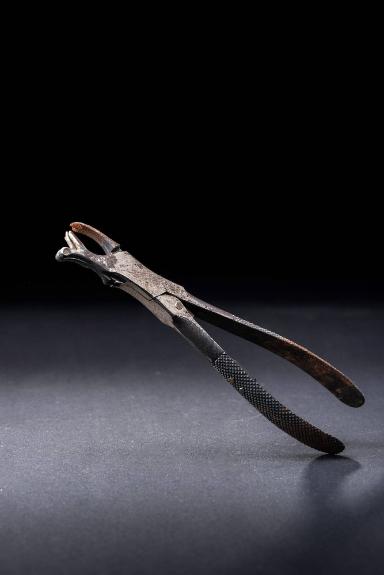 Zahnzange mit Umlenkrolle