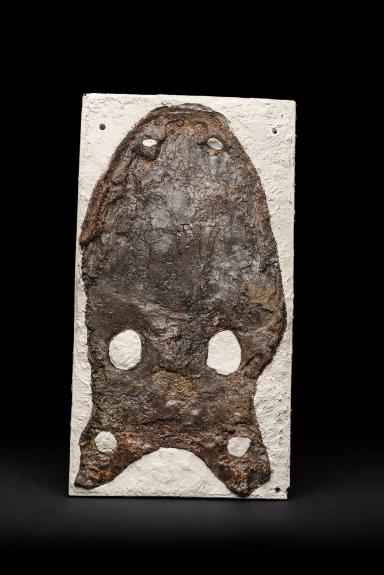 „Mastodonsaurus“ robustus (Amphibia, Temnospondyli)