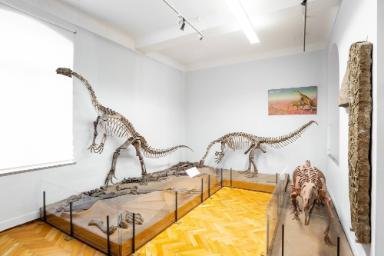Plateosaurus engelhardti (Reptilia, Dinosauria, Sauropodomorpha)